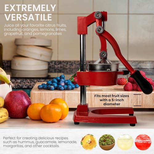 Manual Metal Citrus Juicer Press M416364