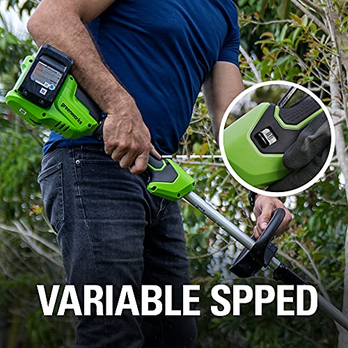 15" Cordless String Trimmer with 2.0Ah Batteries and Dual Port Charger R93638