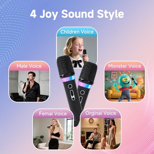 Dual Handheld Rechargeable Karaoke Microphone with 3.5mm Aux in and Out Receiver, Black Z63244