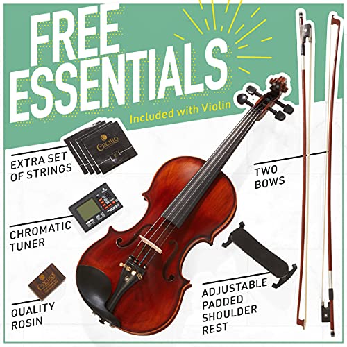 Black Solid Wood 4/4 Violin with Case U3427