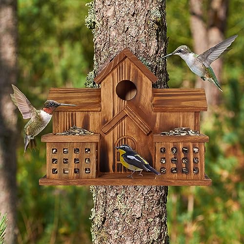 3 Hole Hanging Birdhouse with Bird Feeder T69056