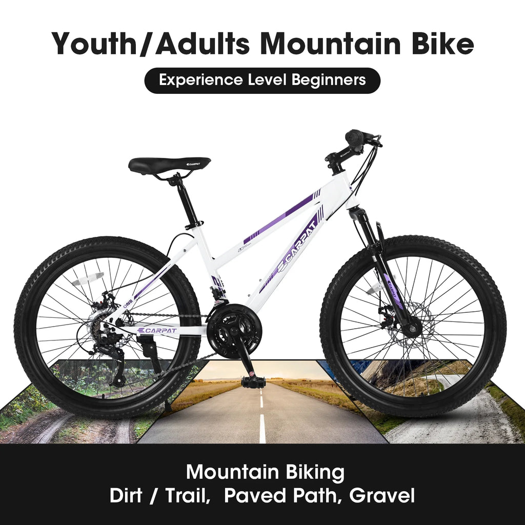 24 inch Mountain Bike with 21 Speeds Gear and Dual Disc Brakes M69189