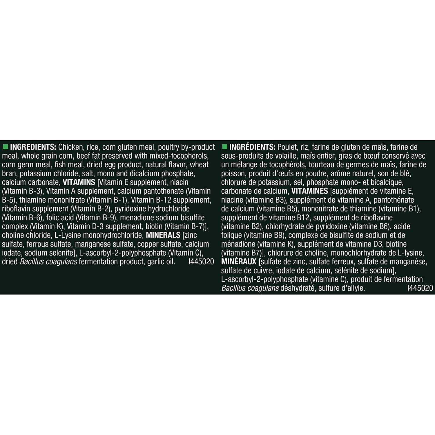 Adult Dry Dog Food P8402