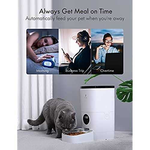 Automatic Cat Food Dispenser K183691