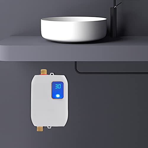 3000W Portable Electric Instant Tankless Water Heater, 110V H6500