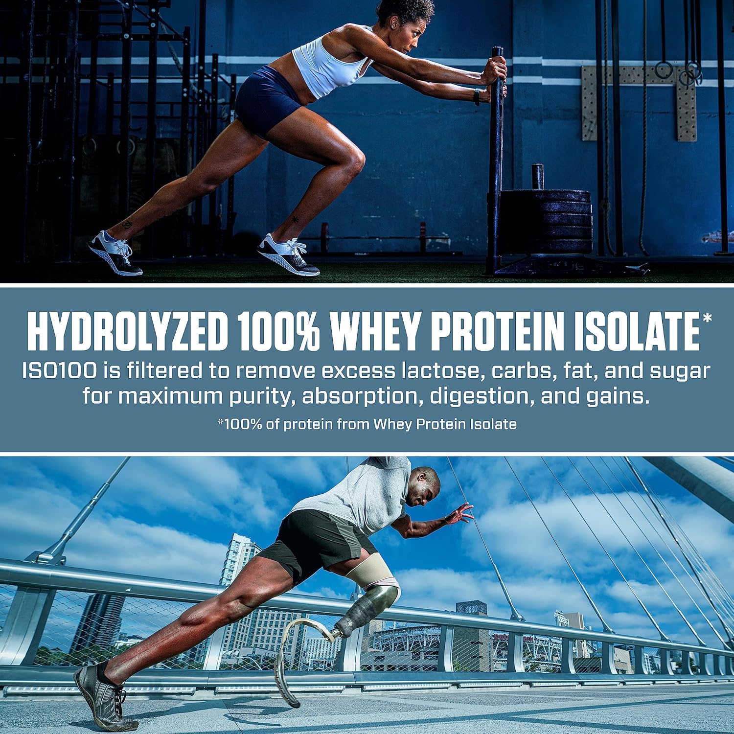 Chocolate Peanut Butter Whey Protein Powder, 20 servings J6761