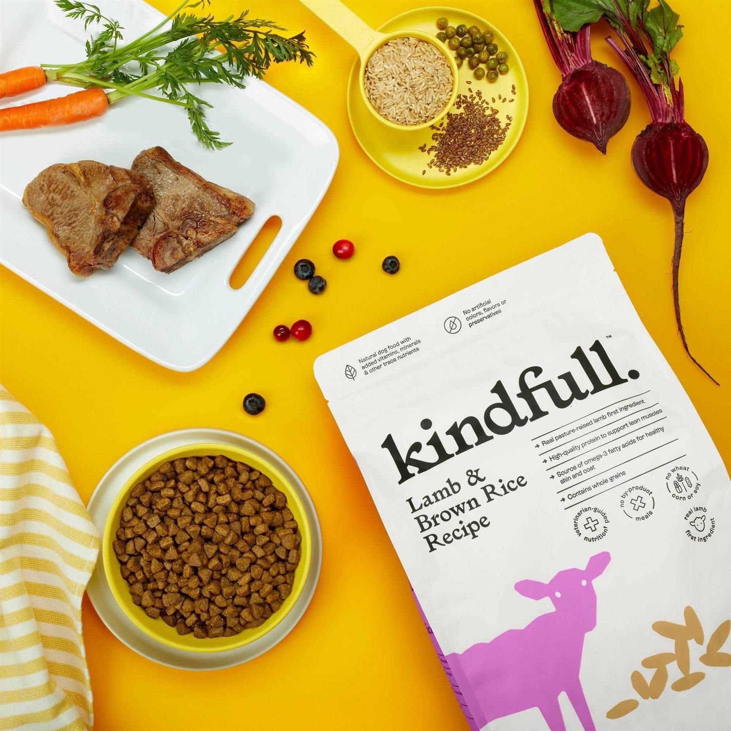 Lamb & Brown Rice Recipe Dry Dog Food L71325