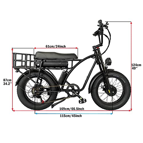 Dual Motor 2000W Retro Two-Person Electric Bicycle, 7-Speed 20" Tire 48V 18Ah E-Bike with Rear Turn Signal Z144