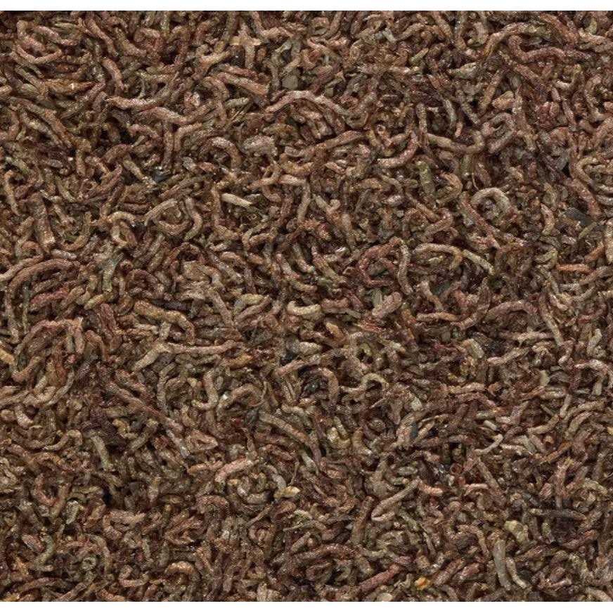 Freeze Dried Bloodworms Fish Food X664858