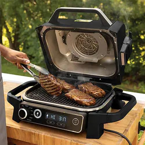Grey 7-in-1 Outdoor Electric Grill & Smoker E440