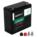 12V 100Ah LiFePO4 Battery with 100A BMS F66189