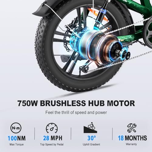 20'' Fat Tire Full Suspension Folding Electric Bike with 48V 20Ah Removable Battery G20053