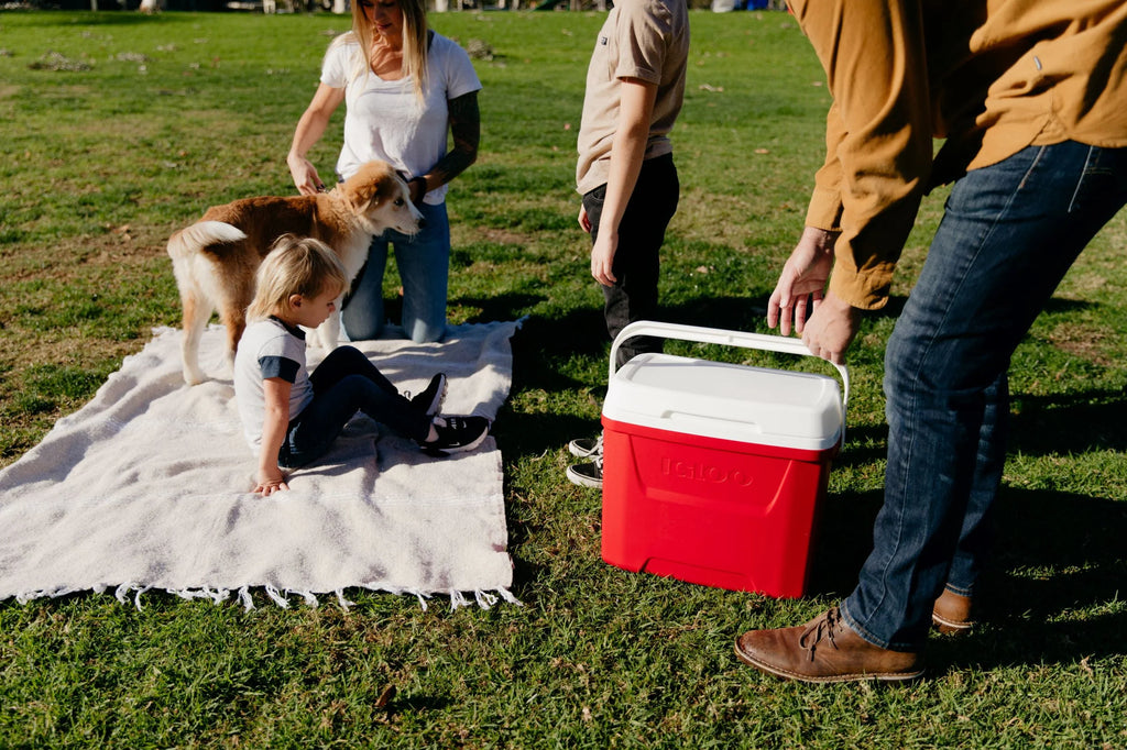 Red 28 QT Ice Chest Cooler B64953