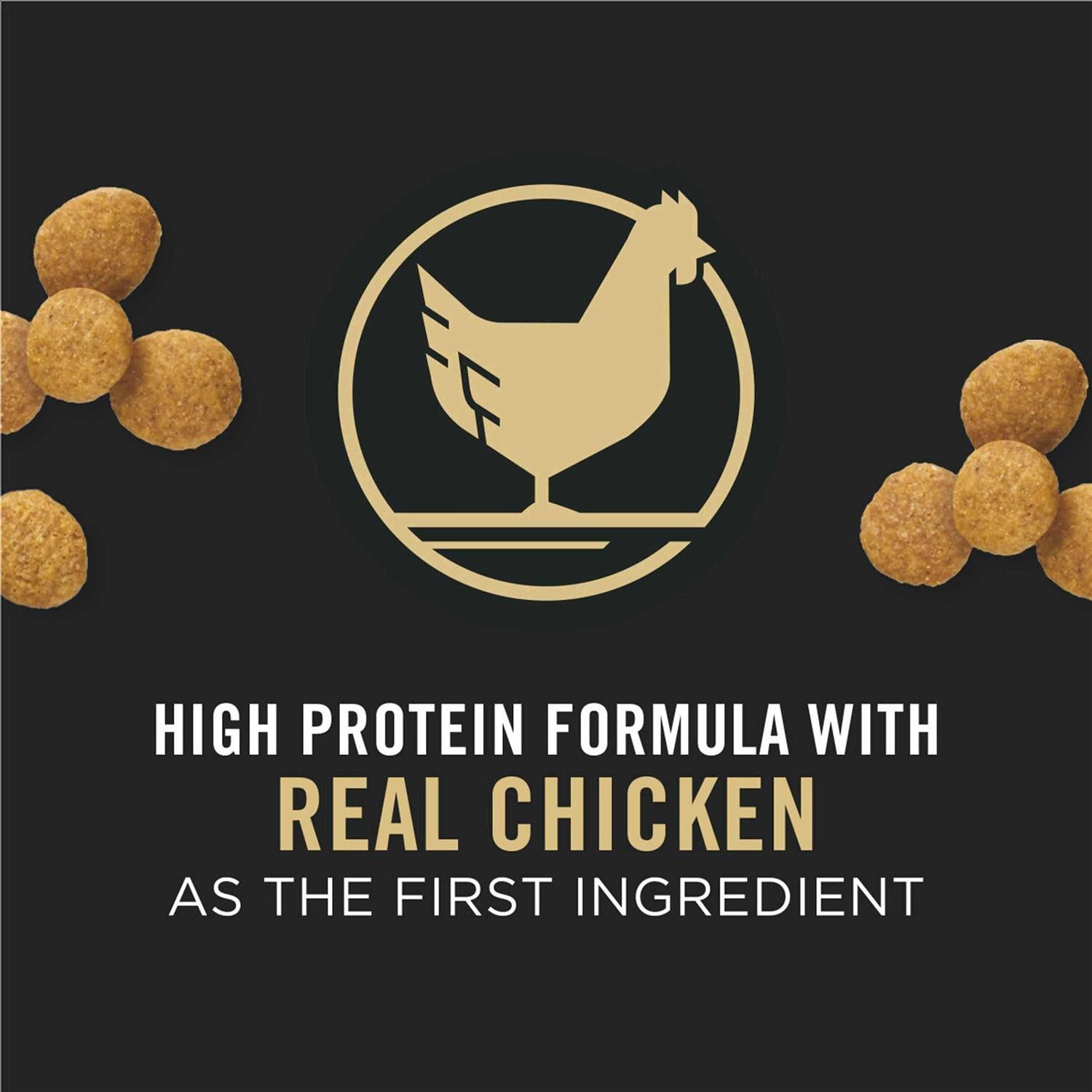 Chicken & Rice Formula Large Breed Dry Puppy Food W90360