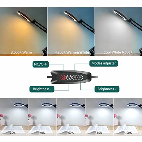 10X Magnifying Lamp with LED Light and Stand N9261