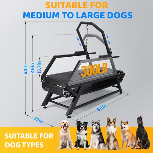 Non-Electric Dog Treadmill with Step Counter, Adjustable Incline & Brake, Up to 300LBS A896883