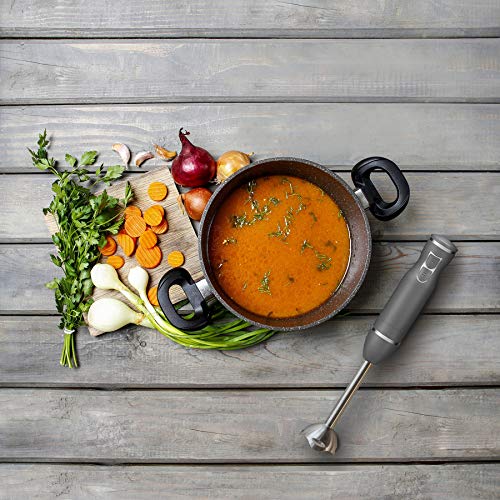 Turquoise 300 Watt Stainless Steel Immersion Hand Blender Q71171