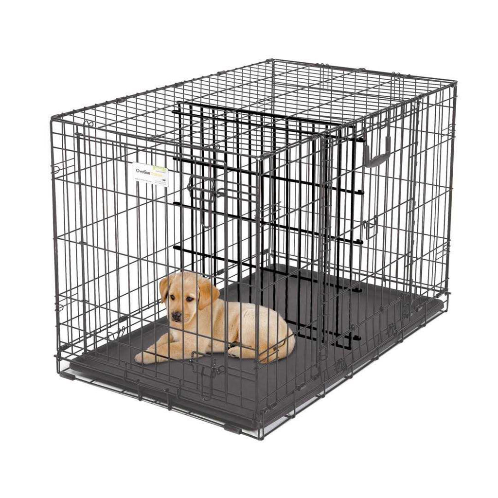Double Door SUV Dog Crate T13436