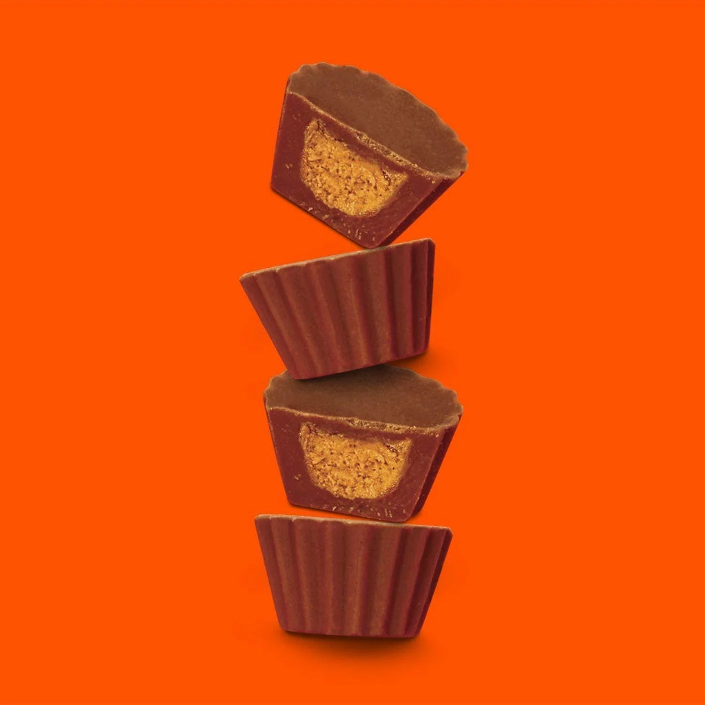 Sugar-Free Milk Chocolate Peanut Butter Candy, 3 Ounce Bag (Pack of 12) D327