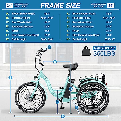 7 Speeds 3 Wheel Electric Bike with 350W 36V Removable Battery Q5361