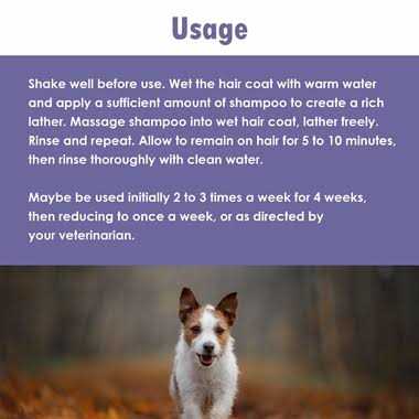 Antiseptic Dog Shampoo G1151