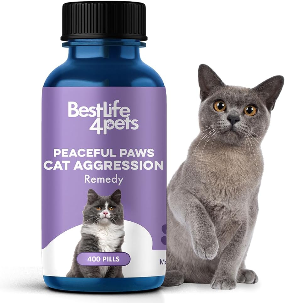 Cat Calming Pills M774374