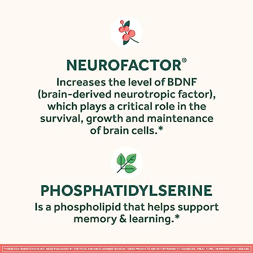 Caffeine-Free Brain Supplement Gummies K7618