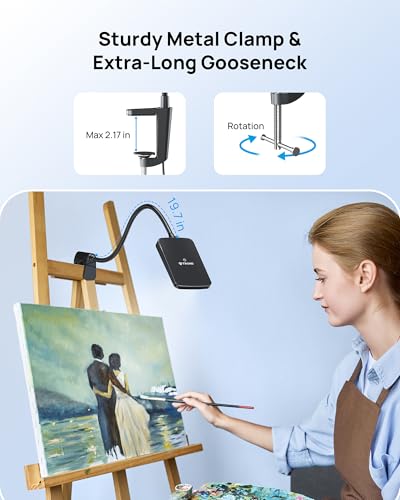 LED Desk Lamp with Clamp, 3-Level Dimmable, Flexible Gooseneck Q774