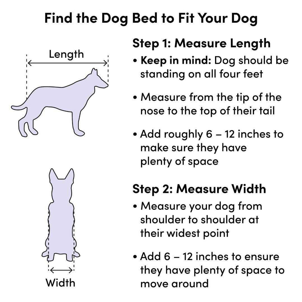 Newton Dog Sofa S3623