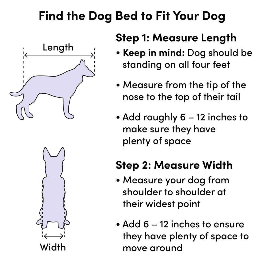 Newton Dog Sofa S3623