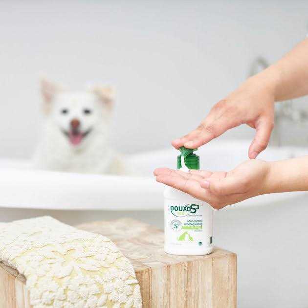 Douxo S3 SEB Shampoo Y15383