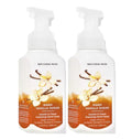 Gentle & Clean Foaming Hand Soap 8.75 Ounce 2-Pack E363934
