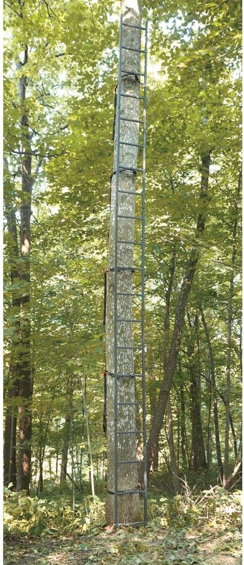 20' Wide Climbing Tree Stand O656