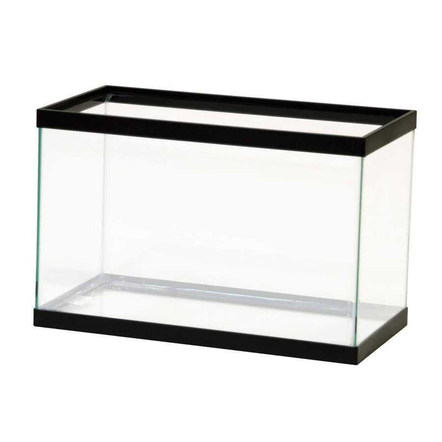 All Glass Aquarium Z194559