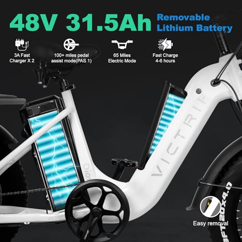 Electric Trike 20" Fat Tire 750W 48V 31.5Ah Removable Dual Battery 3 Wheel Electric Bicycle with Large Basket N181860