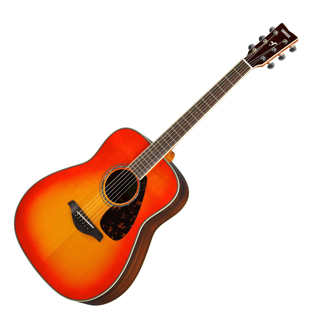 Solid Spruce Top Rosewood Back Acoustic Dreadnought Guitar T702