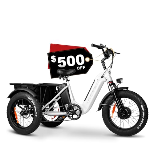 Electric Trike 20" Fat Tire 750W 48V 31.5Ah Removable Dual Battery 3 Wheel Electric Bicycle with Large Basket N181860