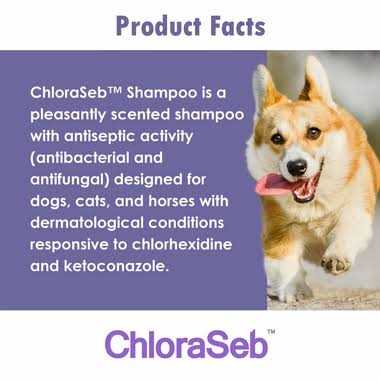 Antiseptic Dog Shampoo G1151