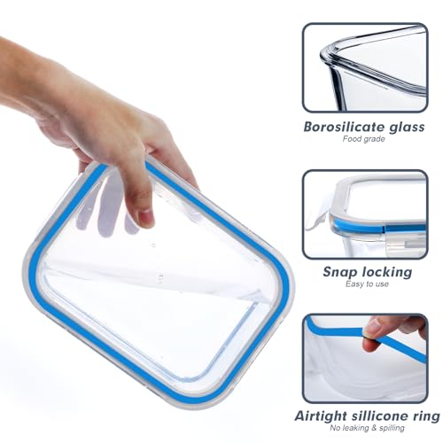 10 Packs Glass Food Storage Containers with Lids F386