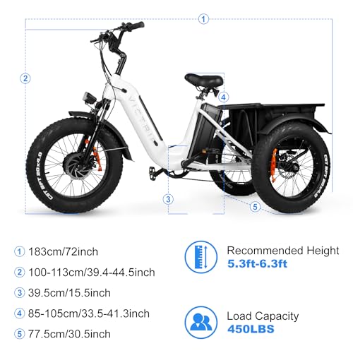 Electric Trike 20" Fat Tire 750W 48V 31.5Ah Removable Dual Battery 3 Wheel Electric Bicycle with Large Basket N181860