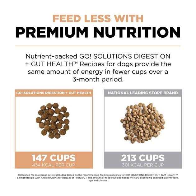 Salmon Recipe with Ancient Grains Dog Food P76259