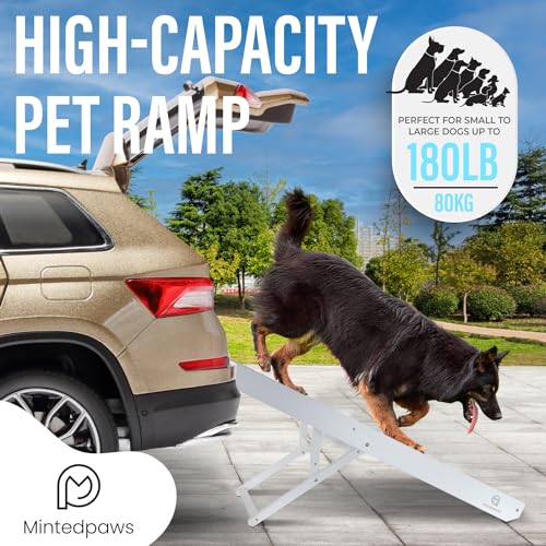 43" Long Adjustable Grey Anti-Slip Rubber Dog Ramp V5665