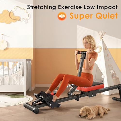 Rowing Machine with 12 Levels of Resistance J3747