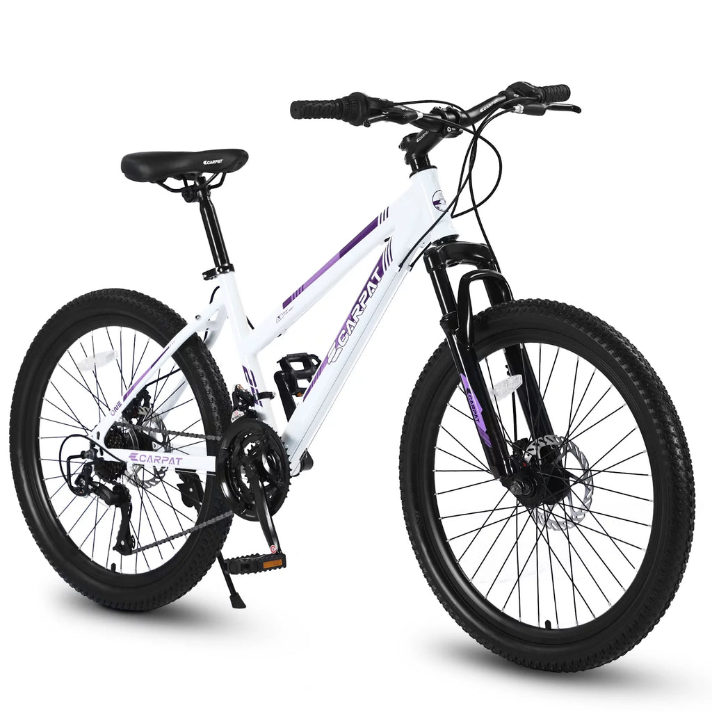 24 inch Mountain Bike with 21 Speeds Gear and Dual Disc Brakes M69189