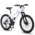 24 inch Mountain Bike with 21 Speeds Gear and Dual Disc Brakes M69189