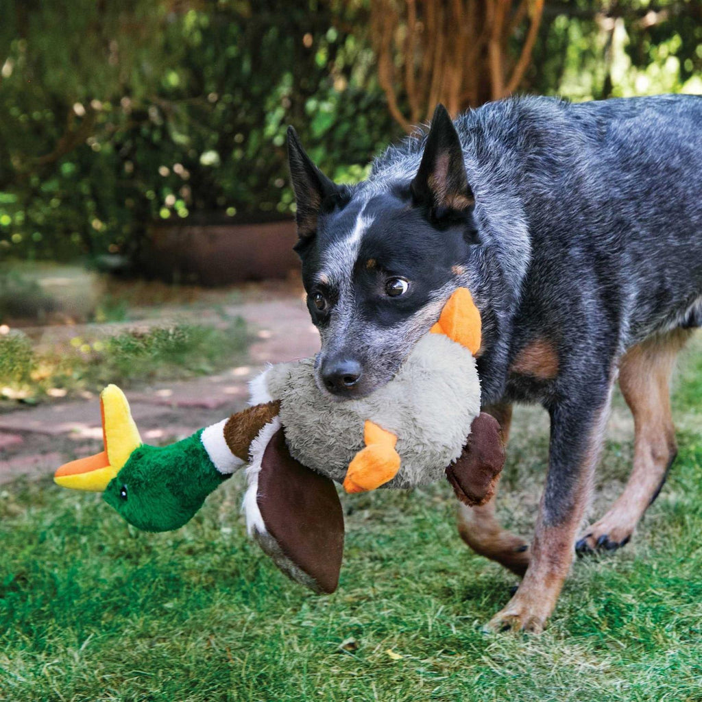 Flamingo Dog Toy T99092