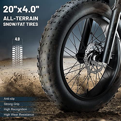Dual Motor 2000W Retro Two-Person Electric Bicycle, 7-Speed 20" Tire 48V 18Ah E-Bike with Rear Turn Signal Z144