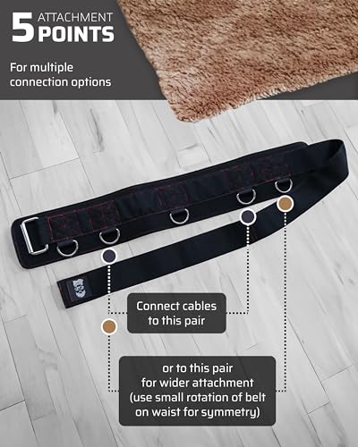 Belt for Cable Machine with 5 Attachment Points, 2 Straps (40” & 27”) and 3 Metal Snap Hooks Y910