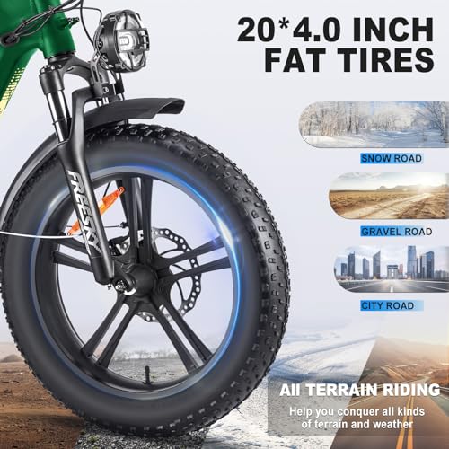 20'' Fat Tire Full Suspension Folding Electric Bike with 48V 20Ah Removable Battery G20053