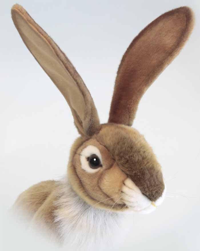 Extra Large Rabbit Plush Toy C66649